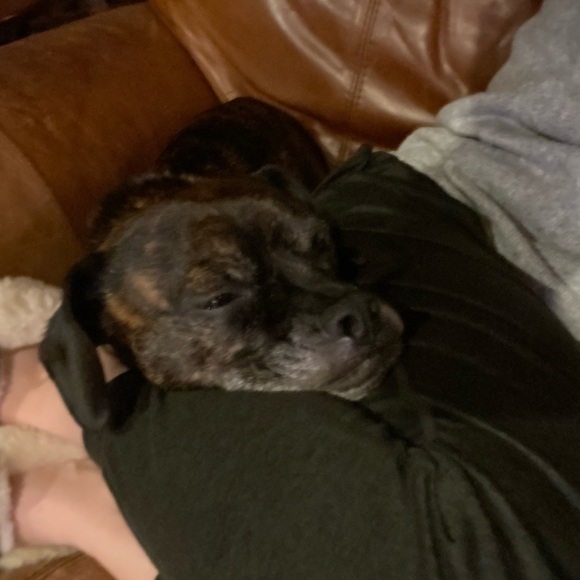 Meet your Posher, Lisa - Picture 1 of 1